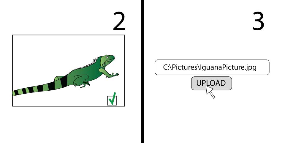 Second step